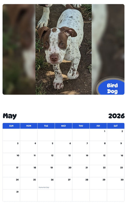 2026 - 2027 Bird Dog - Pawidols Pet Calendar