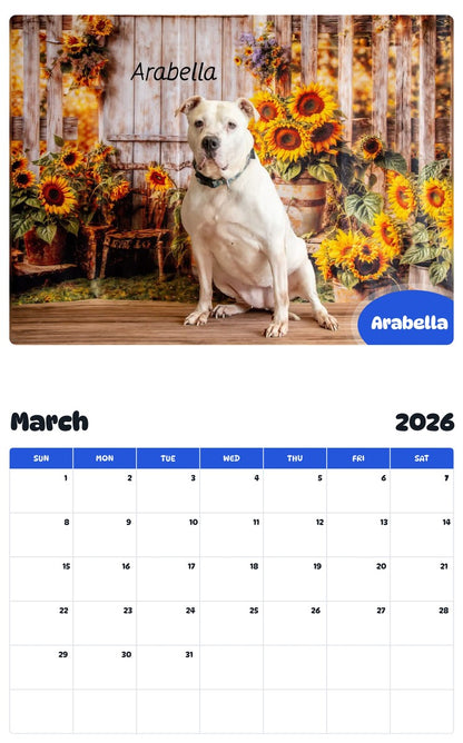 November 2025 - October 2026 Arabella - Pawidols Pet Calendar