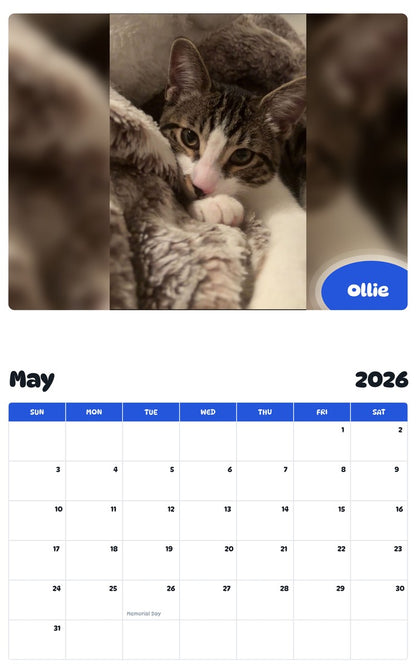 2026 - 2027 Ollie - Pawidols Pet Calendar