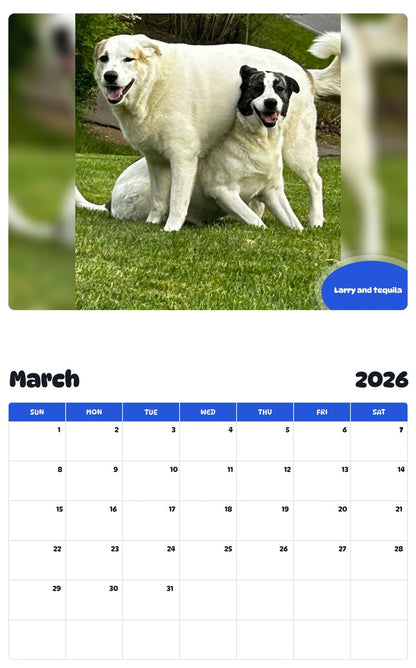 November 2025 - October 2026 Larry and tequila - Pawidols Pet Calendar