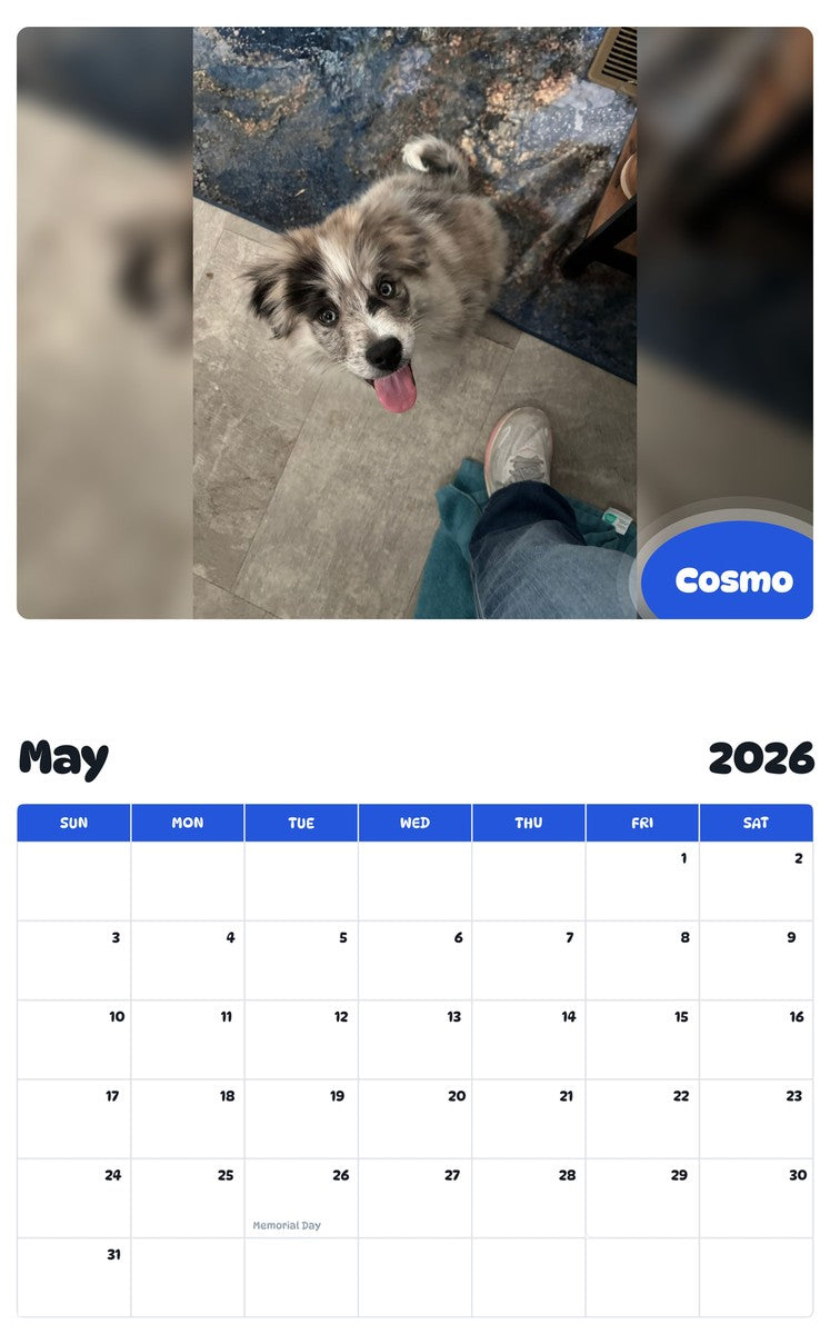 2026 - 2027 Cosmo - Pawidols Pet Calendar