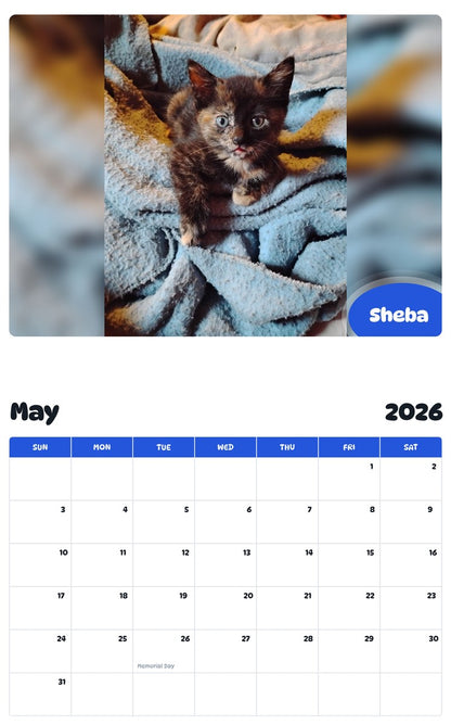 2026 - 2027 Sheba - Pawidols Pet Calendar