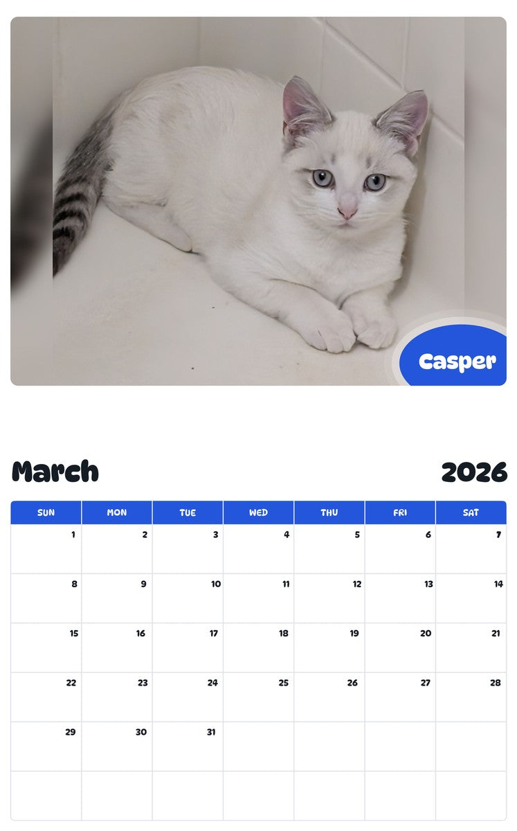 November 2025 - October 2026 Casper - Pawidols Pet Calendar