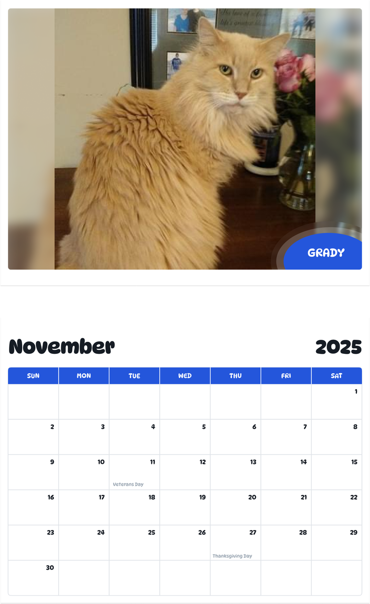 July 2025 - June 2026 Grady - Pawidols Pet Calendar
