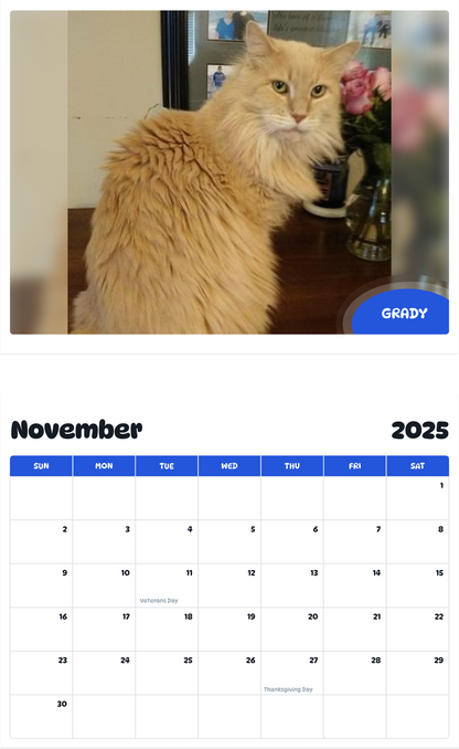 July 2025 - June 2026 Grady - Pawidols Pet Calendar