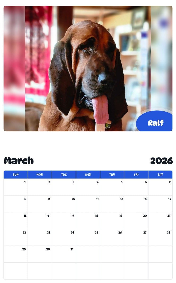 November 2025 - October 2026 Ralf - Pawidols Pet Calendar