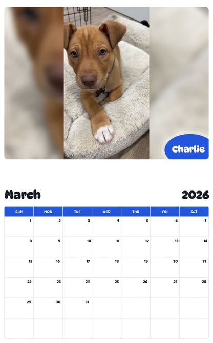 November 2025 - October 2026 Charlie - Pawidols Pet Calendar
