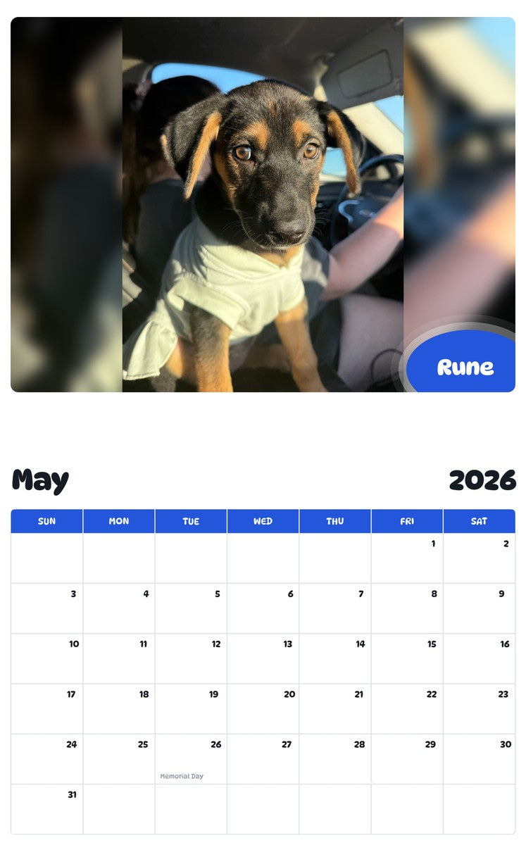 2026 - 2027 Rune - Pawidols Pet Calendar