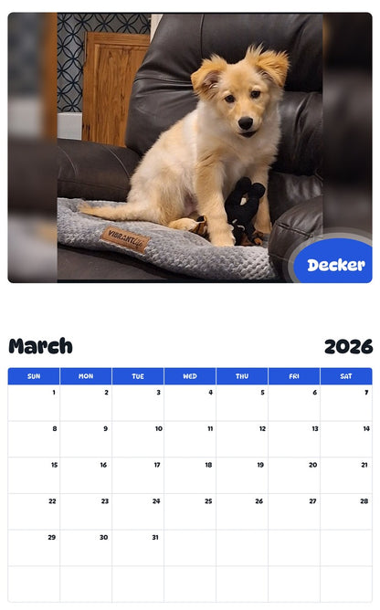 November 2025 - October 2026 Decker - Pawidols Pet Calendar