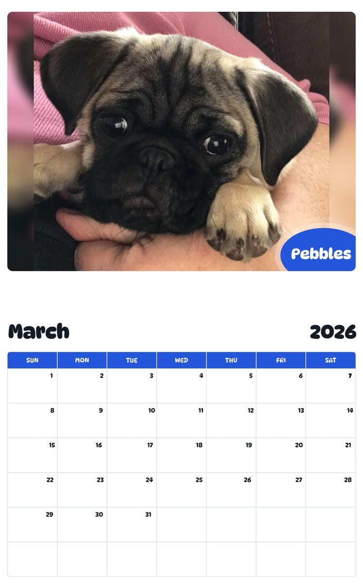 November 2025 - October 2026 Pebbles - Pawidols Pet Calendar