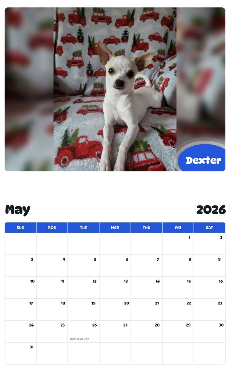 2026 - 2027 Dexter - Pawidols Pet Calendar