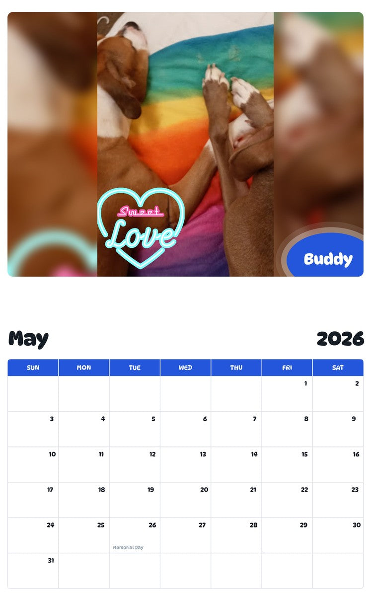 2026 - 2027 Buddy - Pawidols Pet Calendar