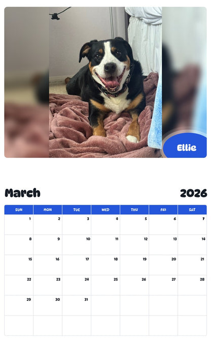 November 2025 - October 2026 Ellie - Pawidols Pet Calendar