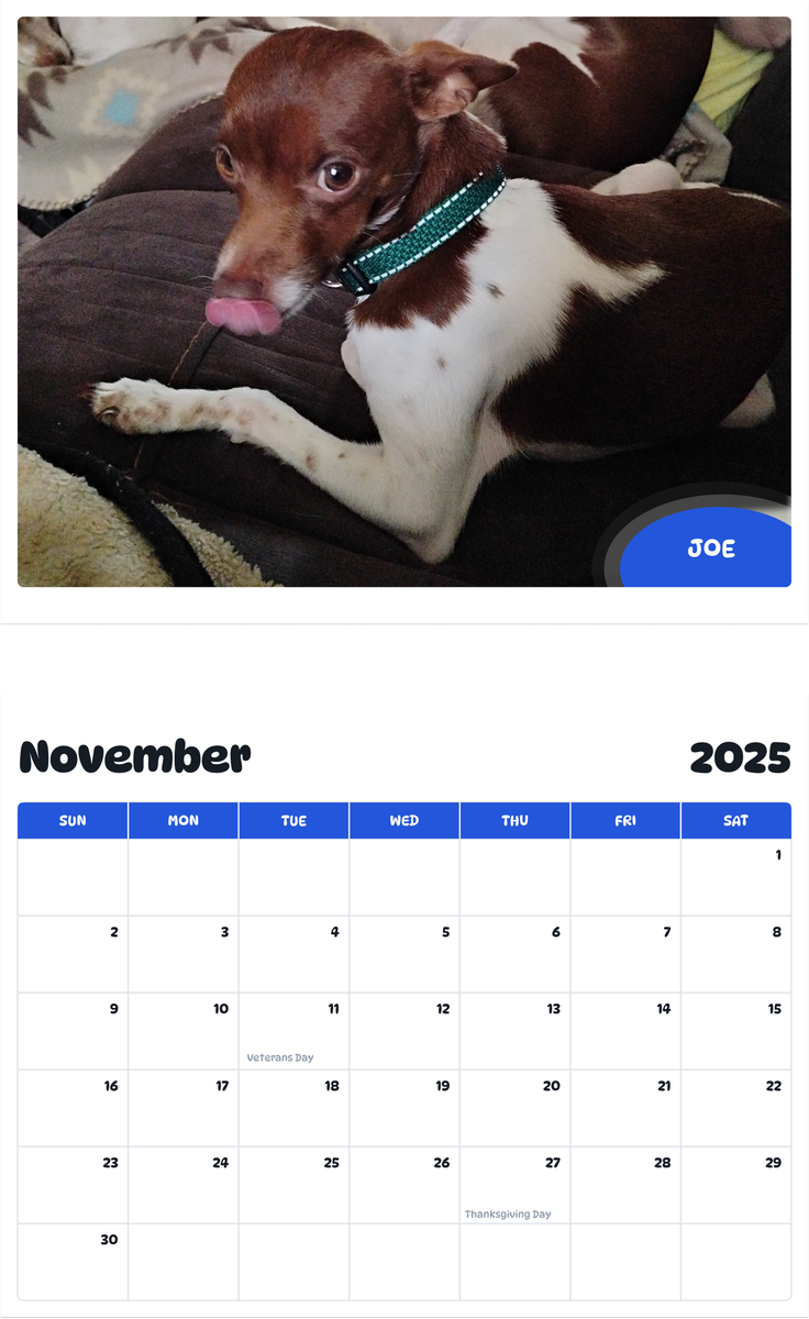 July 2025 - June 2026 Joe - Pawidols Pet Calendar