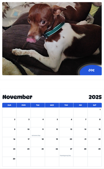 July 2025 - June 2026 Joe - Pawidols Pet Calendar