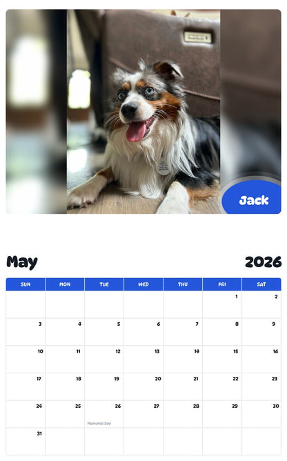 2026 - 2027 Jack - Pawidols Pet Calendar