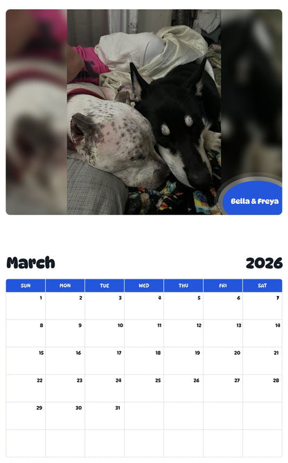 November 2025 - October 2026 Bella & Freya - Pawidols Pet Calendar