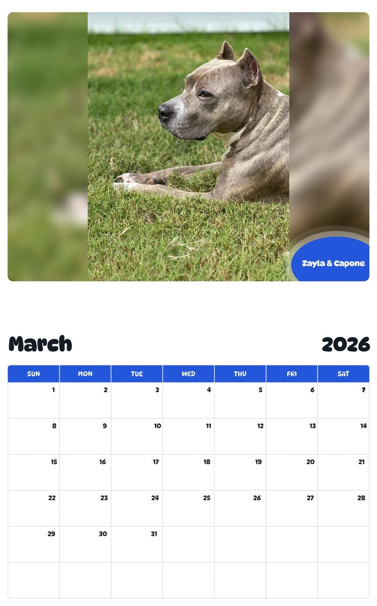 November 2025 - October 2026 Zayla & Capone - Pawidols Pet Calendar