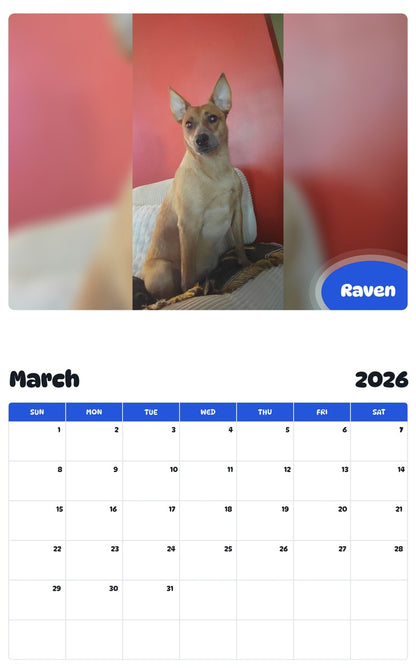 November 2025 - October 2026 Raven - Pawidols Pet Calendar