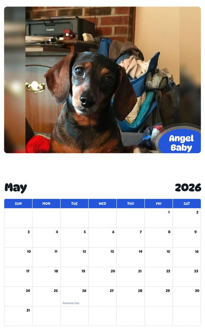 2026 - 2027 Angel Baby - Pawidols Pet Calendar