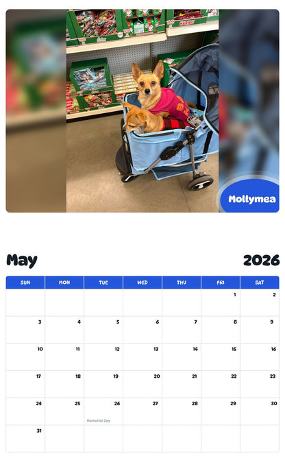 2026 - 2027 Mollymea - Pawidols Pet Calendar