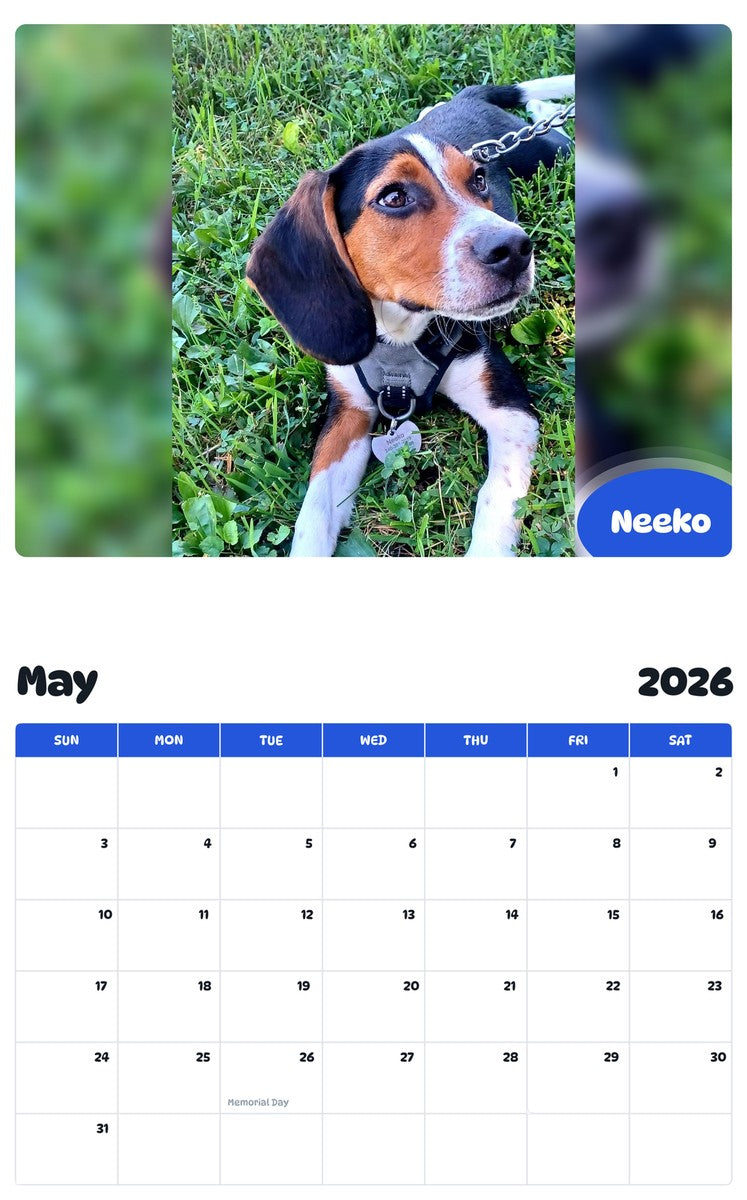 2026 - 2027 Neeko - Pawidols Pet Calendar