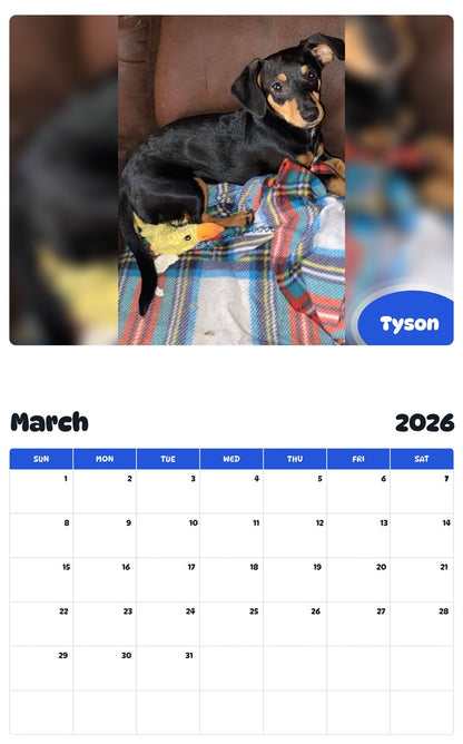 November 2025 - October 2026 Tyson - Pawidols Pet Calendar