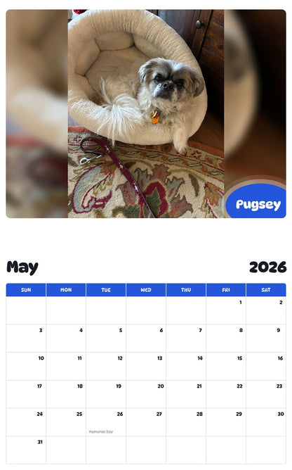 2026 - 2027 Pugsey - Pawidols Pet Calendar