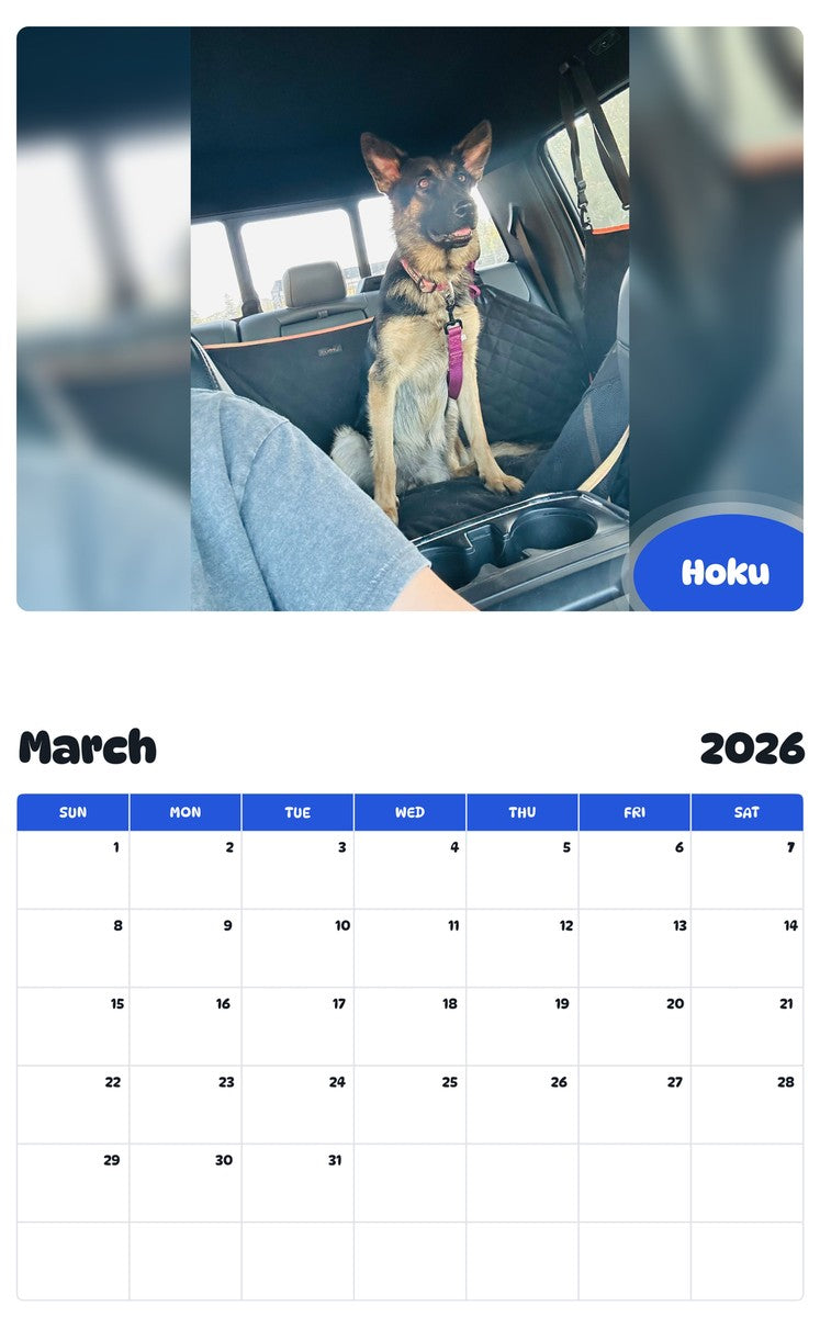 November 2025 - October 2026 Hoku - Pawidols Pet Calendar