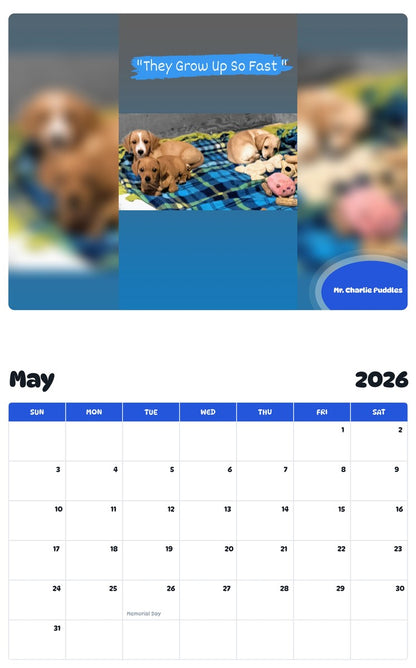 2026 - 2027 Mr. Charlie Puddles - Pawidols Pet Calendar