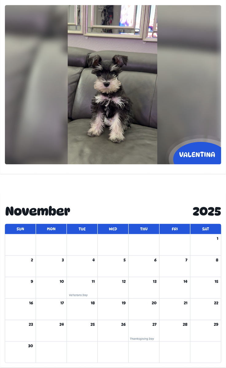 July 2025 - June 2026 Valentina - Pawidols Pet Calendar
