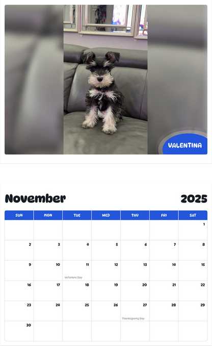 July 2025 - June 2026 Valentina - Pawidols Pet Calendar