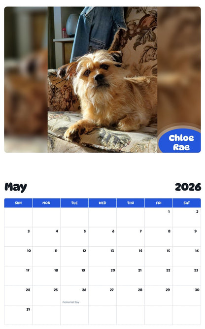 2026 - 2027 Chloe Rae - Pawidols Pet Calendar