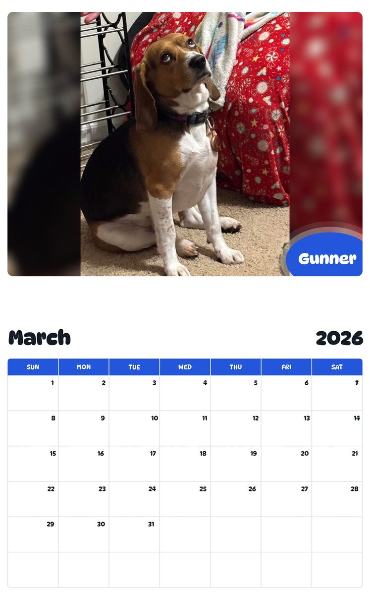 November 2025 - October 2026 Gunner - Pawidols Pet Calendar