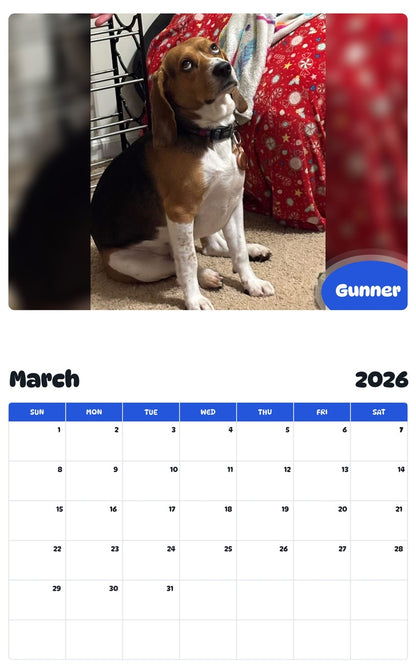 November 2025 - October 2026 Gunner - Pawidols Pet Calendar