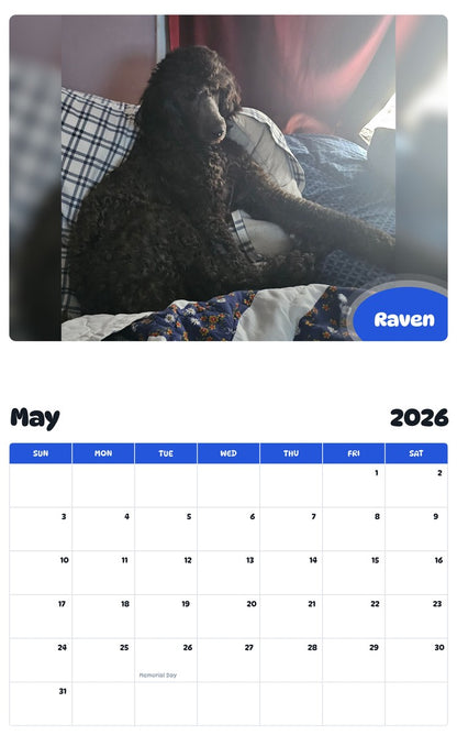 2026 - 2027 Raven - Pawidols Pet Calendar