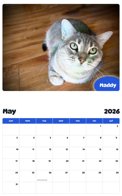 2026 - 2027 Maddy - Pawidols Pet Calendar
