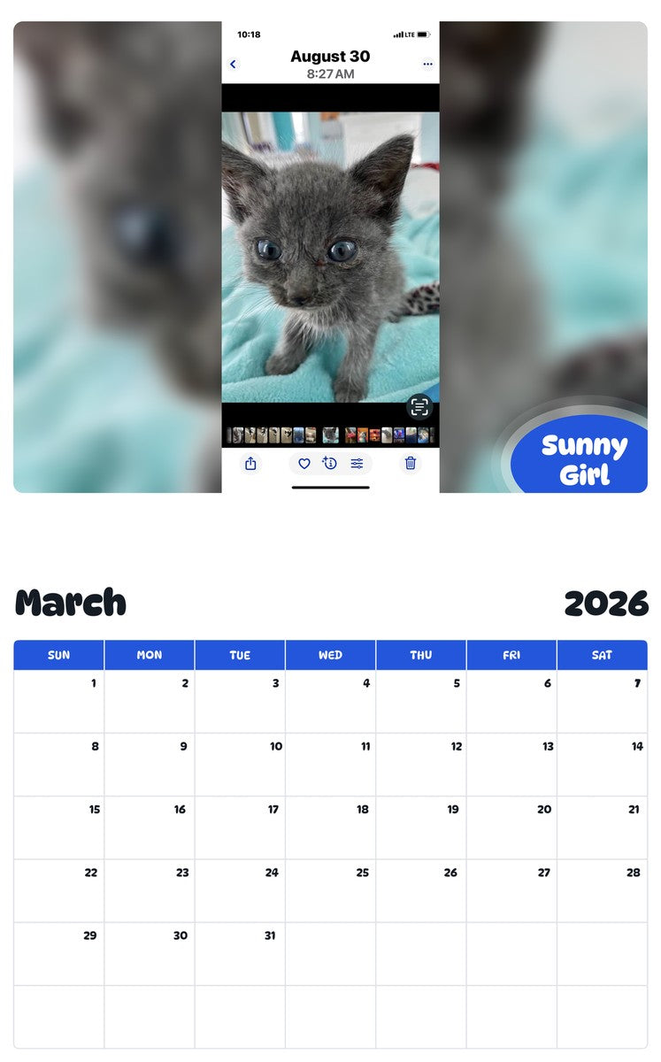 November 2025 - October 2026 Sunny Girl - Pawidols Pet Calendar
