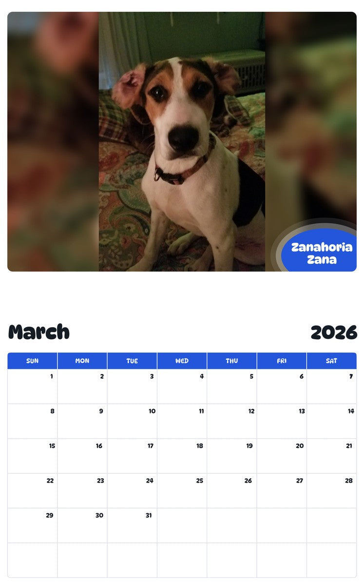 November 2025 - October 2026 Zanahoria Zana - Pawidols Pet Calendar