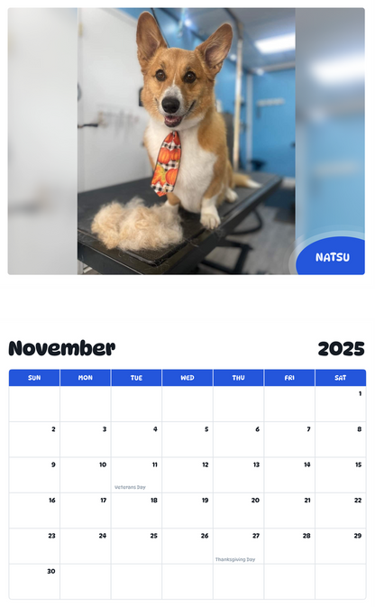 July 2025 - June 2026 Natsu - Pawidols Pet Calendar