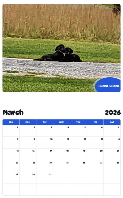 November 2025 - October 2026 Bubba & Hank - Pawidols Pet Calendar