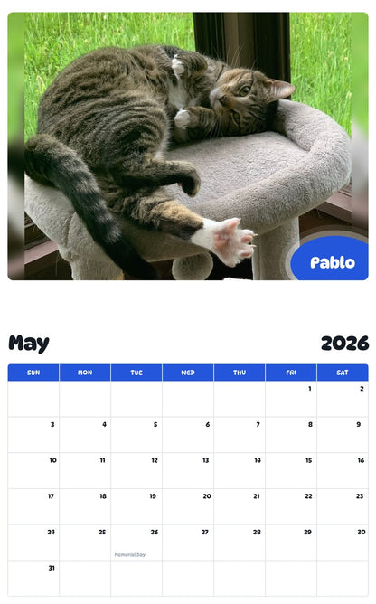 2026 - 2027 Pablo - Pawidols Pet Calendar