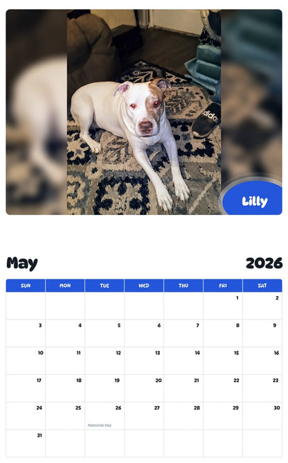 2026 - 2027 Lilly - Pawidols Pet Calendar