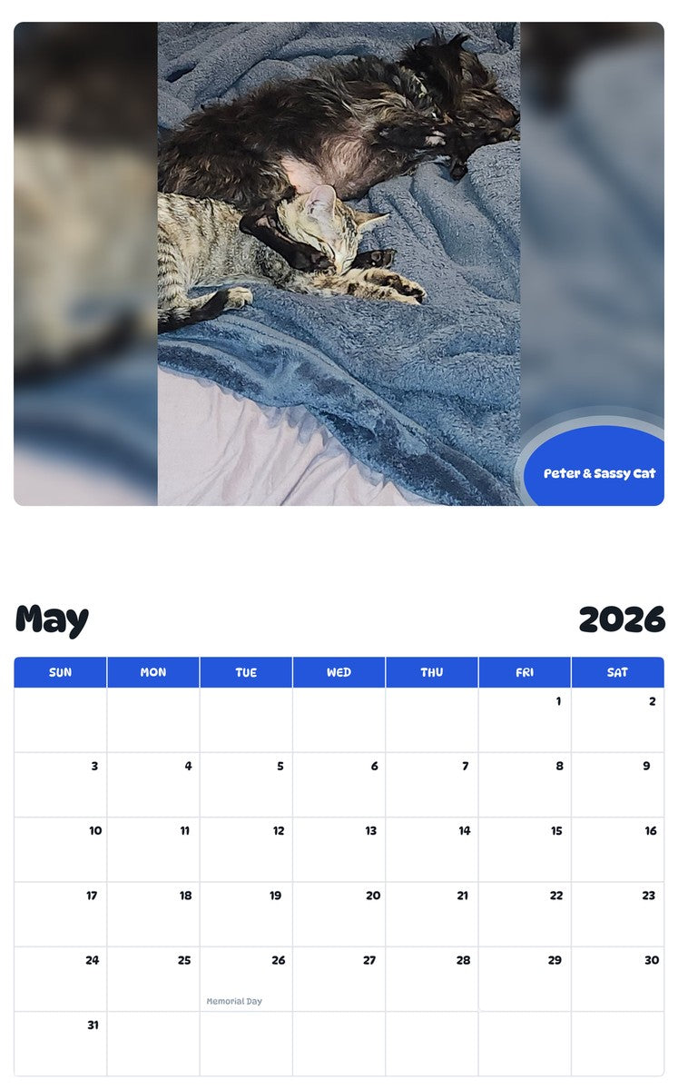 2026 - 2027 Peter & Sassy Cat - Pawidols Pet Calendar