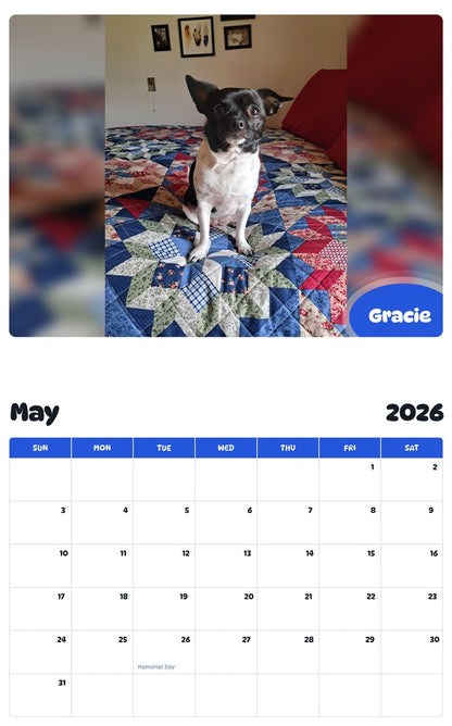 2026 - 2027 Gracie - Pawidols Pet Calendar
