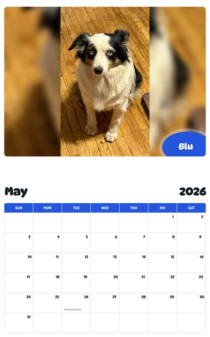 2026 - 2027 Blu - Pawidols Pet Calendar