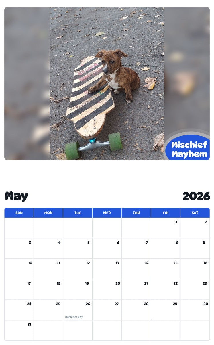2026 - 2027 Mischief Mayhem - Pawidols Pet Calendar