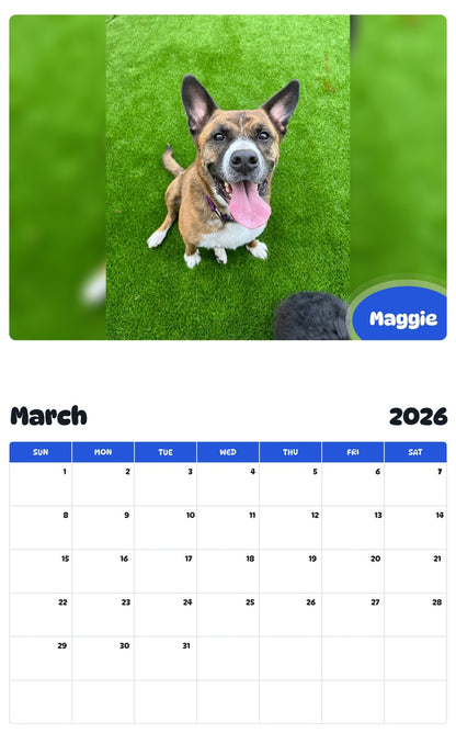 November 2025 - October 2026 Maggie - Pawidols Pet Calendar