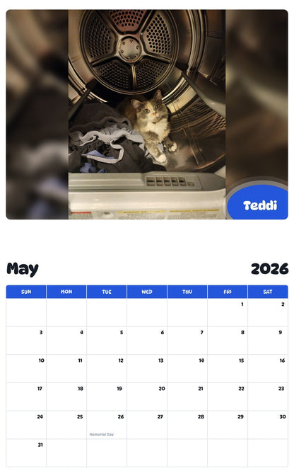 2026 - 2027 Teddi - Pawidols Pet Calendar