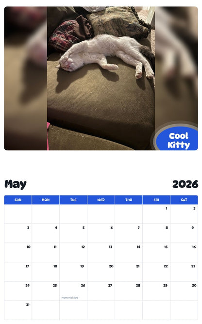 2026 - 2027 Cool Kitty - Pawidols Pet Calendar